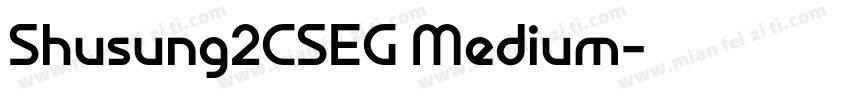 Shusung2CSEG Medium字体转换